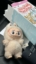 https://labubuofficial.es/muneca/