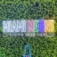 Custom Neon Signs in Miami